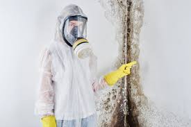 Why You Should Choose Our Mold Remediation Services in Grantley, PA